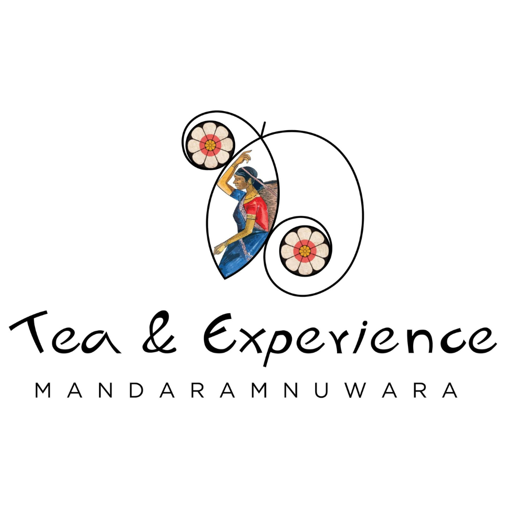 Tea Experience