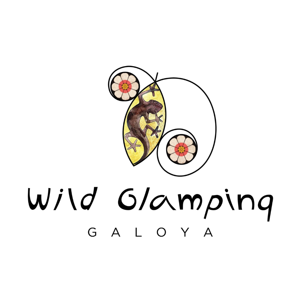 Wild clamping gal oya