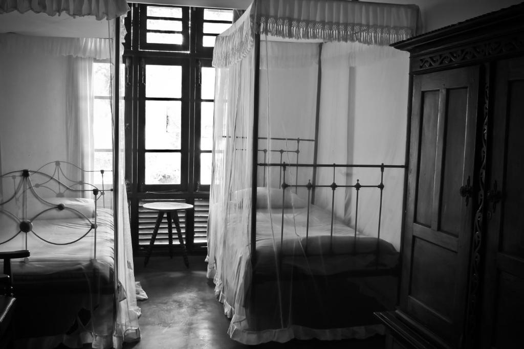 Ancoombra Tea Estate Bungalow