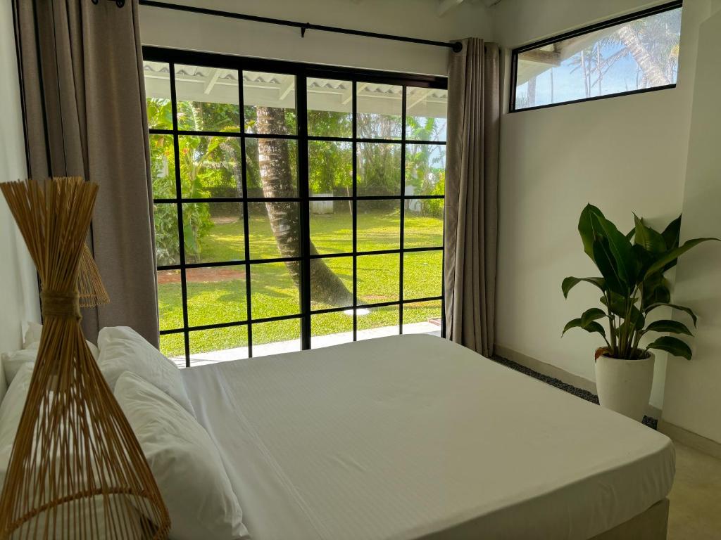Surf Lodge Madiha