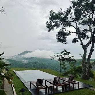 Ancoombra Tea Estate Bungalow