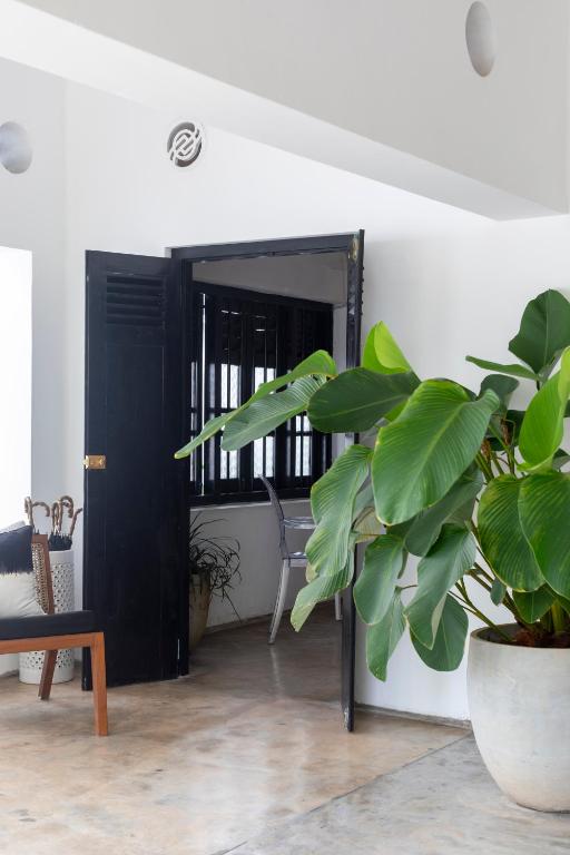 Galle Hotels