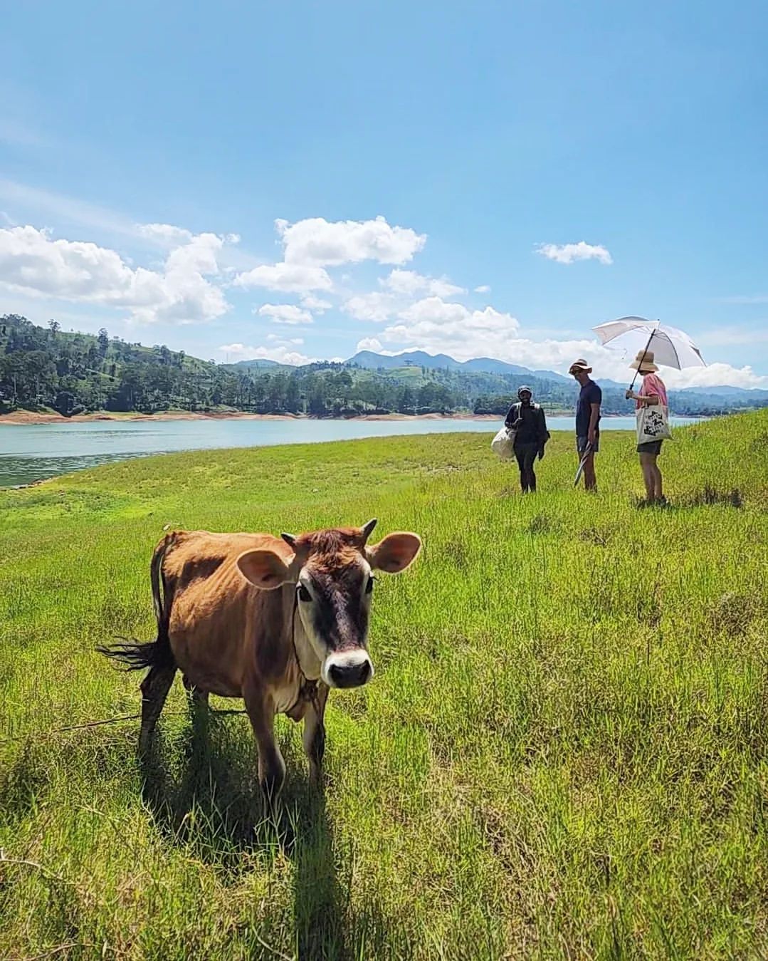 Nuwaraeliya Hotels