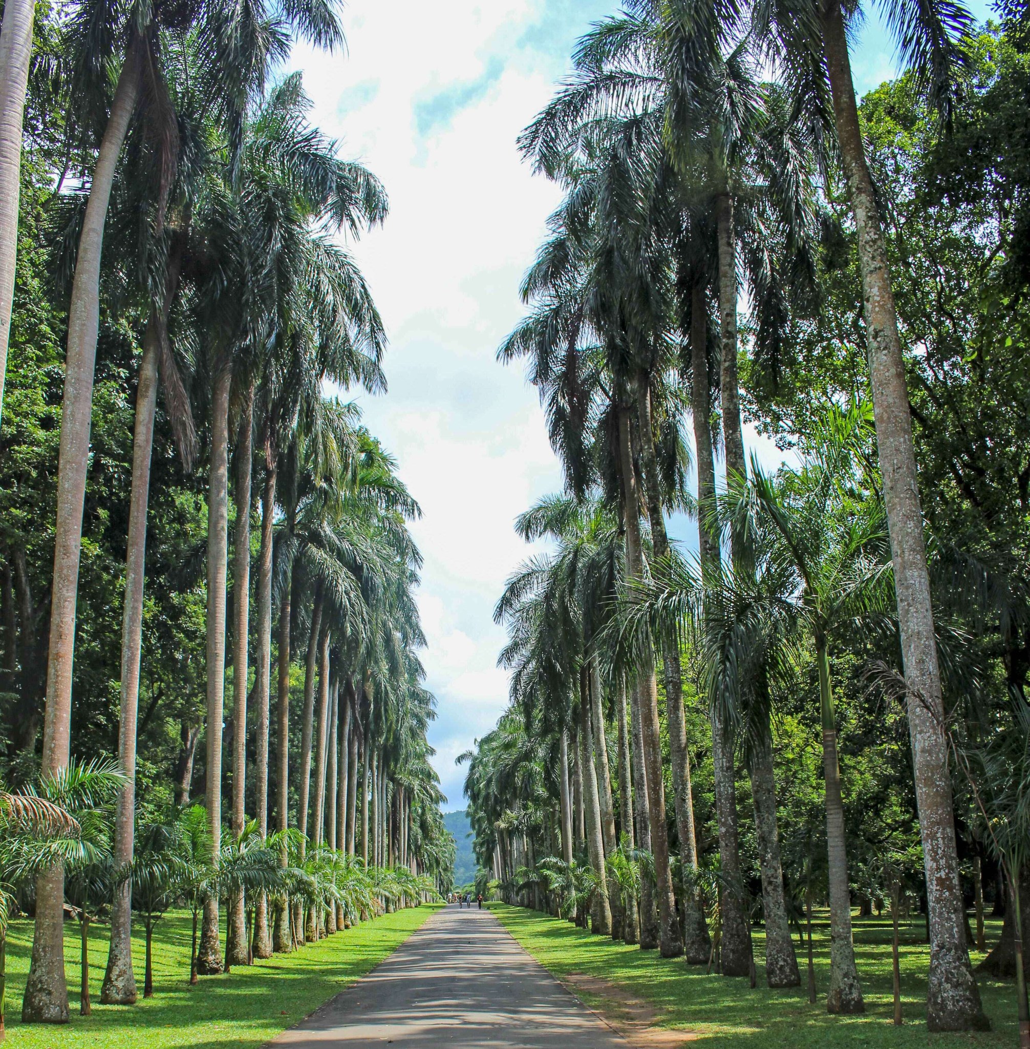 Mountbatten Bungalow - Kandy