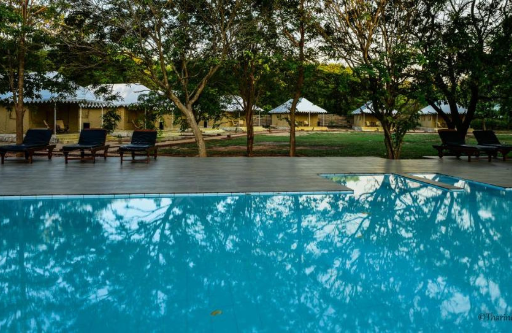 Dambulla Hotels