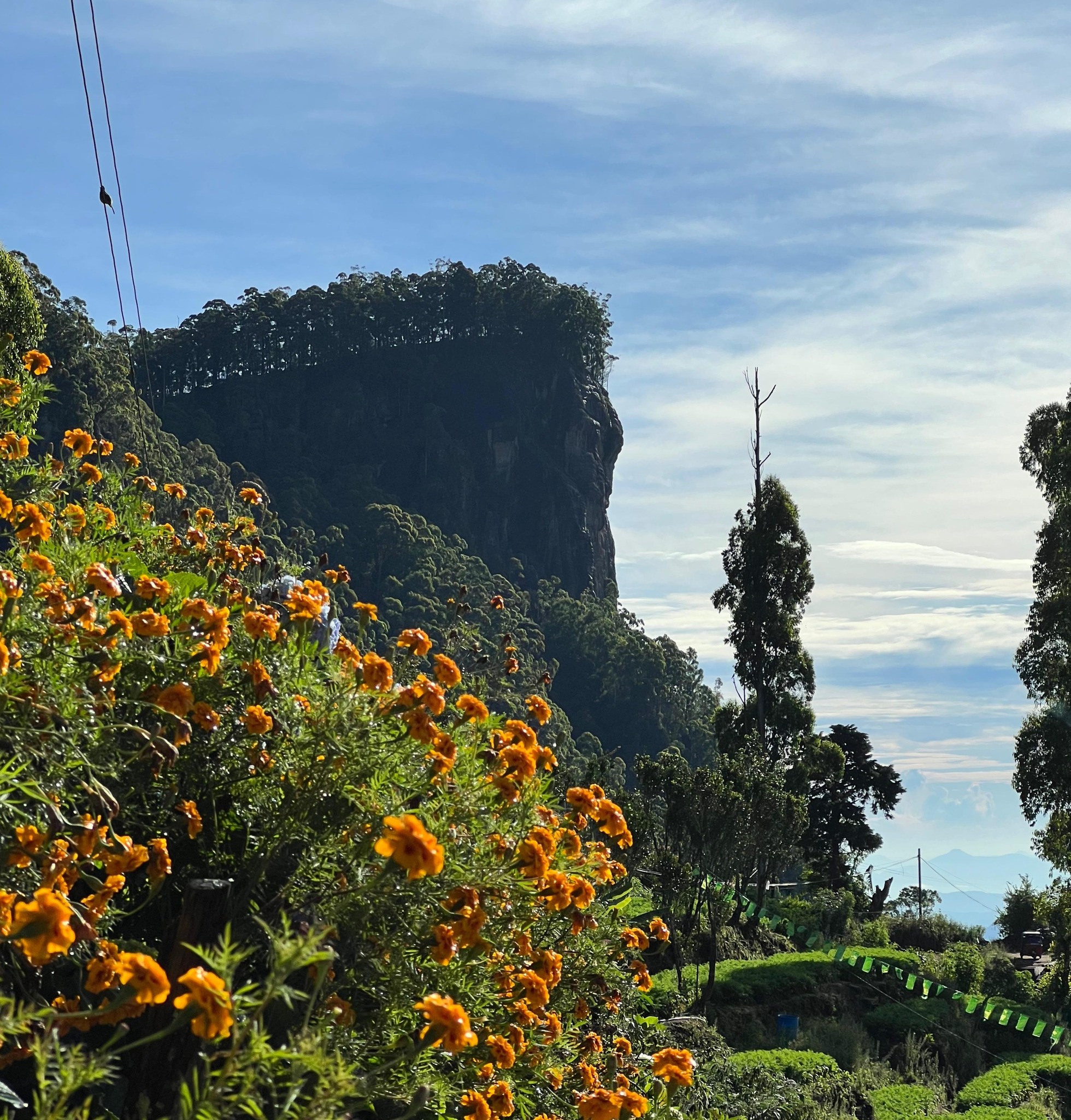 Scottish Planter Bungalow – Nuwara Eliya